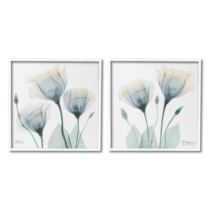 Budding Opaque Tulips 2 Piece Giclee Art Set by Albert Koetsier, 12" H x 12" W, Midnight Black Framed Giclee