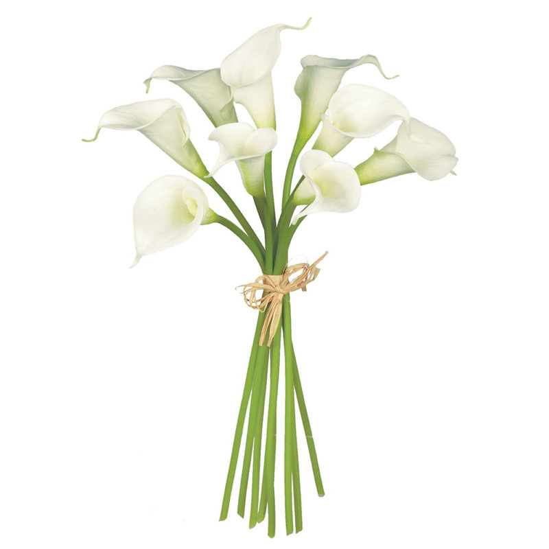 Raelynn Calla Lily