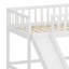 Lit mezzanine bas avec échelle et toboggan-327209742
