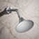 Forte® Wall-Mount Single-Function Showerhead with 66-Nozle 5.5 Inch Sprayface, 2.5 GPM