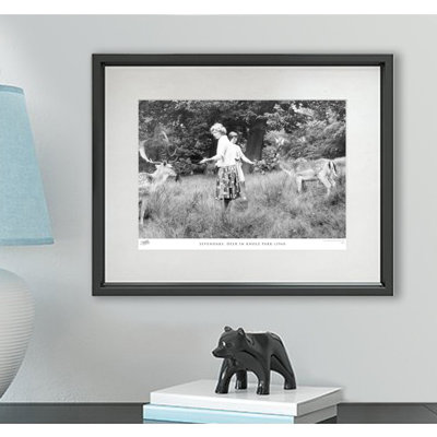 Sevenoaks, Deer In Knole Park C1960 by Francis Frith - Single Picture Frame Print