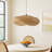 Deshields 1-Light Bamboo Unique / Statement Pendant