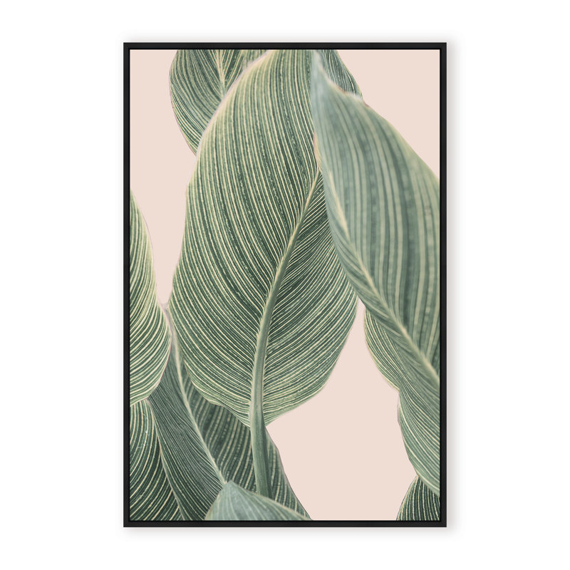 Coastal Retreat Calla Leaf by  - Picture Frame Graphic Art on Paper, 48" H x 32" W x 1.125" D, Framed Matted Print, Beige