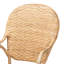 Dining Chair(Only Dining Chairs)