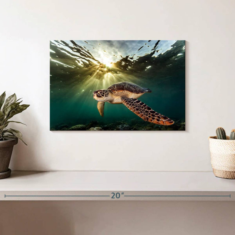 Brampt Philippine Green Turtle, 8" H x 12" W