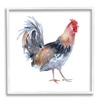 Ax-630-Giclee " Rooster Farm Animal " by Claudia Bianchi