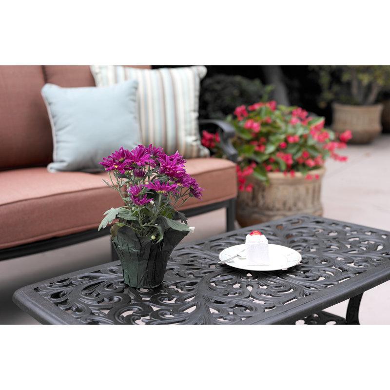 Cartee 21" x 42'' Rectangular Coffee Table
