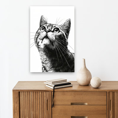 «Curious Cat Gaze», art mural contemporain