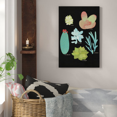 « succulent plante chart ii », reproduction d’art sur toile tendue
