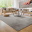 Anamta Solid Colour Shag Area Rug-453879329