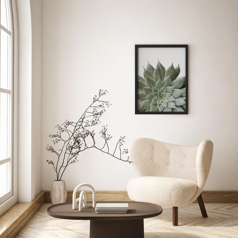 «Lush Green Succulent Botanical Nature Illustration Small Decor Art Work», Noir, H 14 po x l 11 po