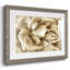 Fleur murale neutre II-941175344-941175345