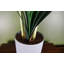 60cm Faux Flowering Plant in Planter