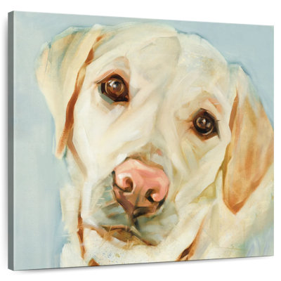Crowle Retriever Stare