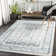 Southwestern Indoor Rug