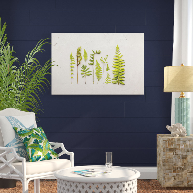 Flat Lay Ferns I by Felicity Bradley - No Frame Print on Canvas, 81cm H x 122cm W