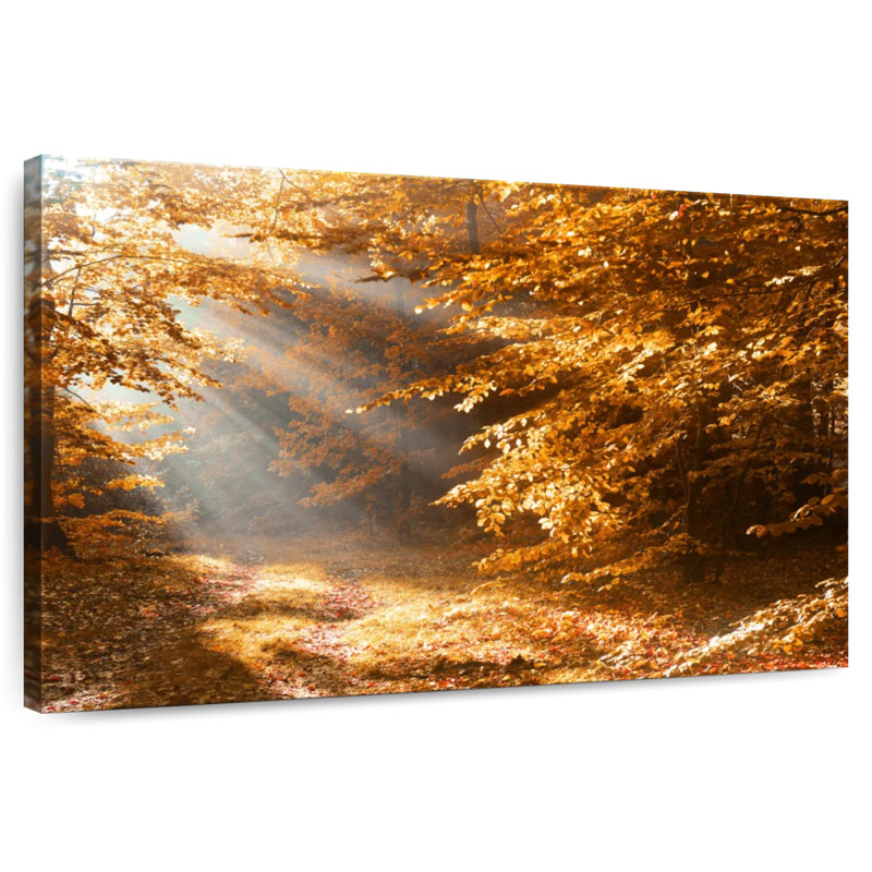 Harnek Autumn Forest Sunshine