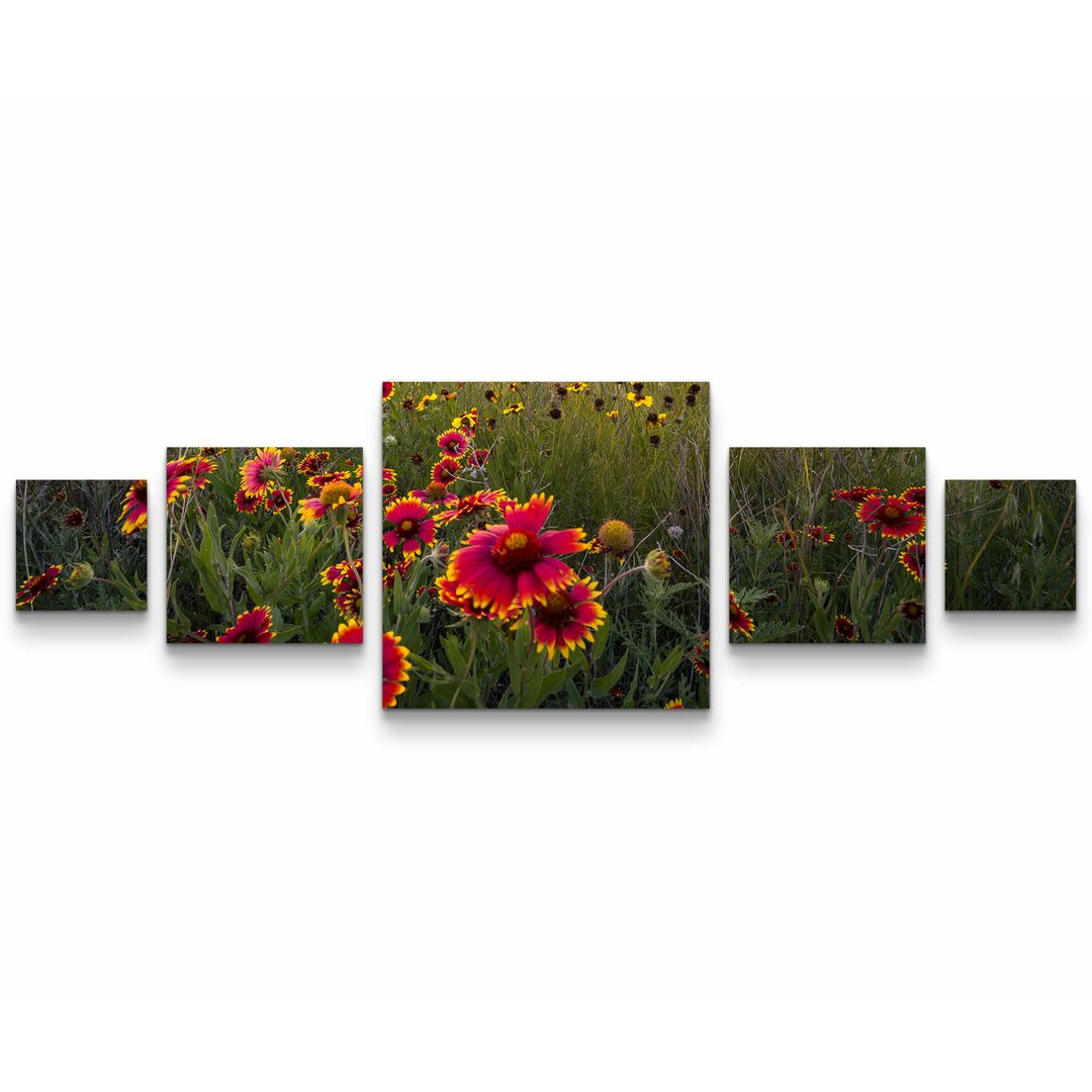 5-tlg. Leinwandbilder-Set Bunte Wildblumenwiese im Morgengrauen