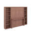 Lit escamotable double avec bureau et bibliothèque-1205060266