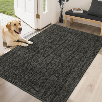Non-Slip Absorbent Door Mat with TPR Backing – Soft, Washable, Low-Profile Doormat for Indoor Entrance, Perfect for Pets & Family