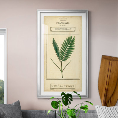 Linnaean Botany IV - Peinture sur toile encadrée