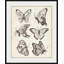 Plant - Single Picture Frame Print-316858014