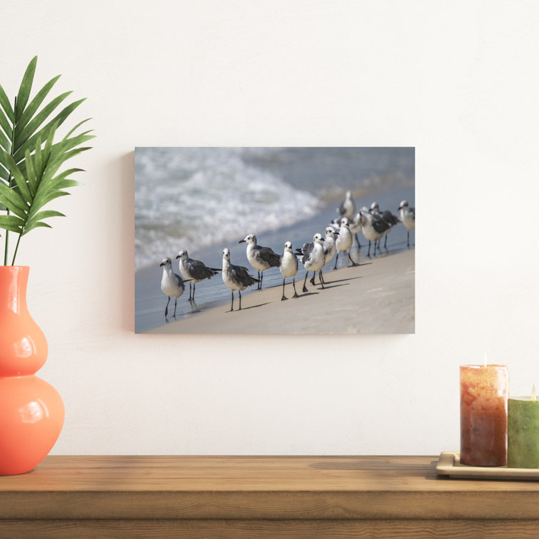 Rosecliff Heights What's Up Gulls On Canvas Print | Wayfair