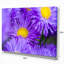 Reproduction de photo sur toile tendue grande fleur de fleurs violettes-18297026