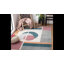 Tapis géométrique Honeycutt 300 Performance-245024394