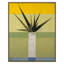 Aloe C Print by Patrick Atkinson-270630700