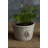 Lynda Pot Planter-659917633