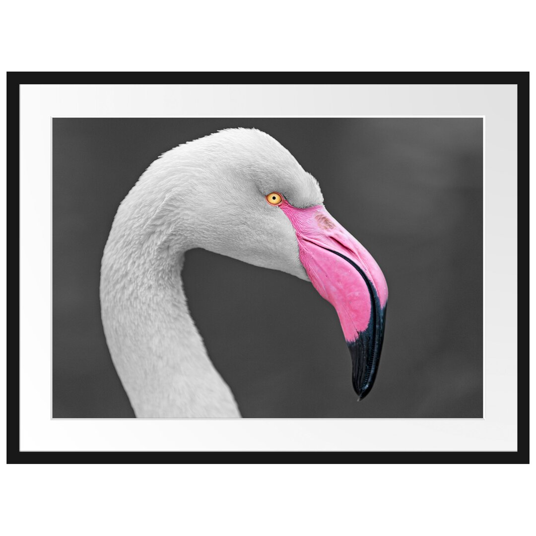 Gerahmtes Poster Flamingo im Seitenprofil