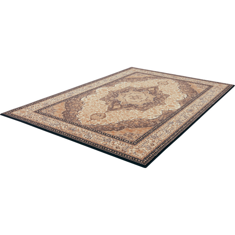 Oriental Area Rug, Rectangle 200 x 300cm