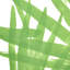 Sunlit Palm Wallpaper-50801154