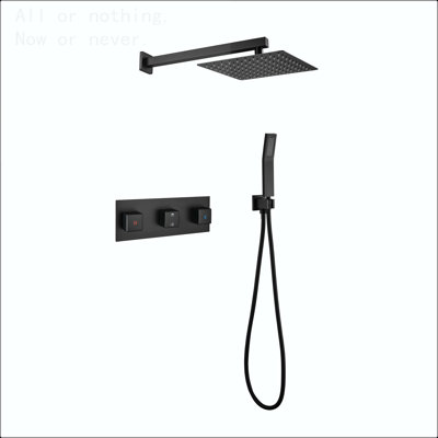 10-Inch Brass Rain Shower System with Handheld, Matte Black