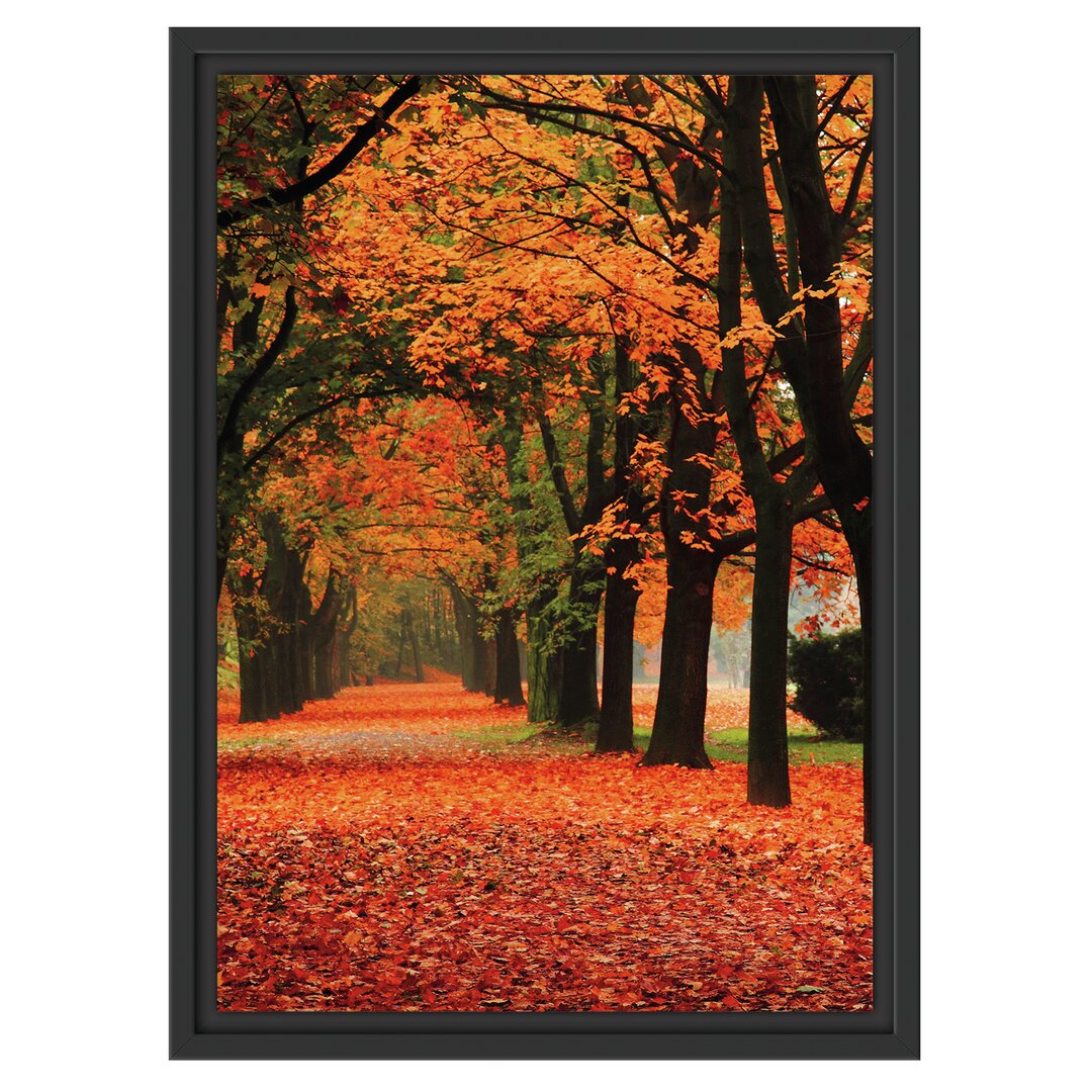 Gerahmtes Wandbild BaumalleeHerbst