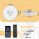Karlena 20'' Modern Flush Mount Ceiling Fan with Lights and Remote Control