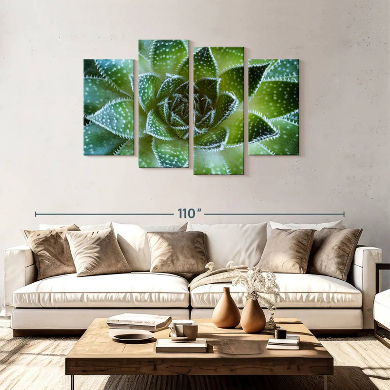 Harnek Lace Aloe Succulent, 48" H x 75" W