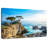 Gillard Bright Pebble Beach-106045321