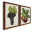 Antique Fruit VIII - Ensemble de 2 reproductions d'art sur toile-1352268771-1352268769