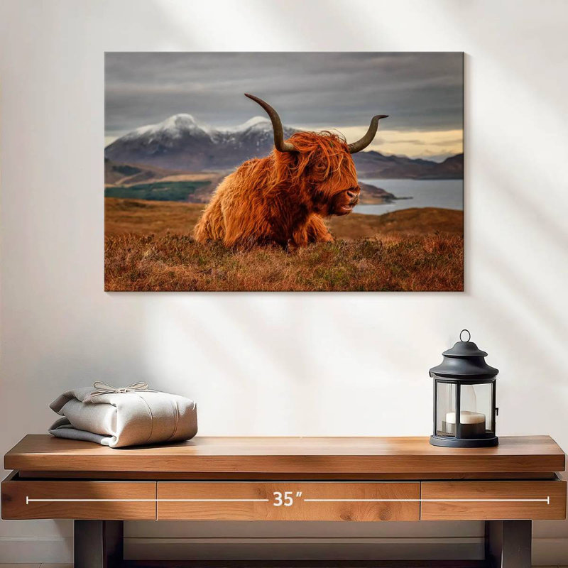 Brampt Highland Cow sentant le vent, H 16 po x l 24 po
