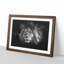 Lion With Piercing Eyes Paint Splash - Picture Frame Graphic Art-56865644-56865650