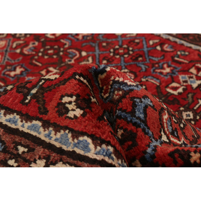 Andelz Red Rug 3'9" x 9'10"