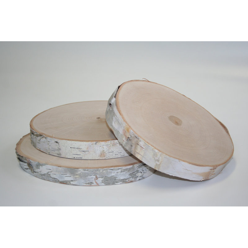 Wilson Birch Round Sculpture Set