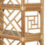 Chippendale Bookcase-111532603
