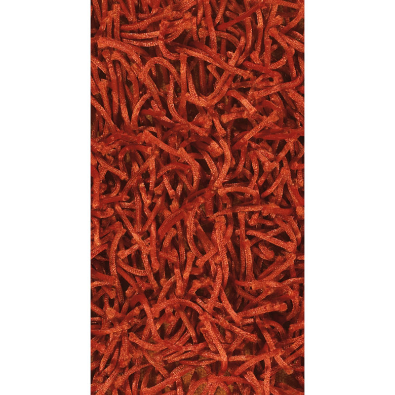Tapis contemporain Everly Quinn Fanetta, Rectangle 4 pi x 6 pi