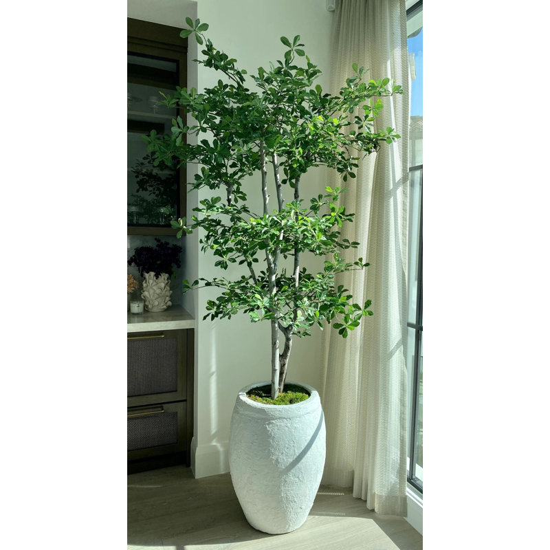 Faux Olive Tree Tree