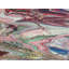FRENZY Print by Will Birdwell-65825283-65849473