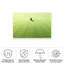 Arbre solitaire bolologien-98097307