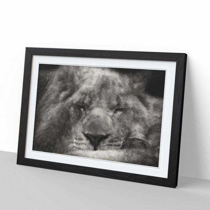 Lion Vol.2 - Picture Frame Graphic Art, 27cm H x 36cm W x 2cm D, Black Framed